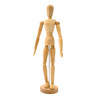 MK818263_10 Rolfes 12" / 30.48cm Male Human Manikin