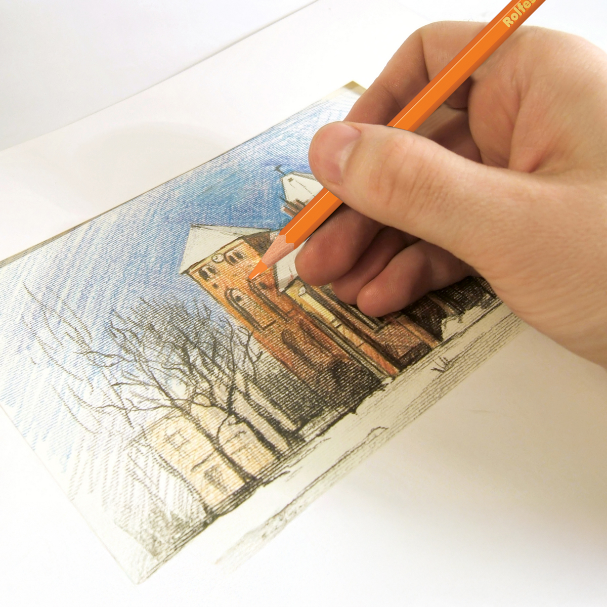 coloured pencil drawing
